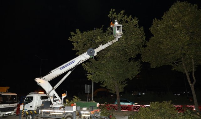 Yeni metro hattındaki ağaçlar kesilmek yerine taşındı