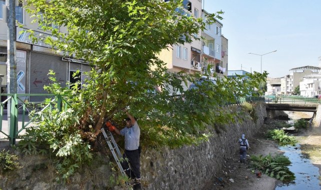 Yıldırım'ın dereleri temizleniyor