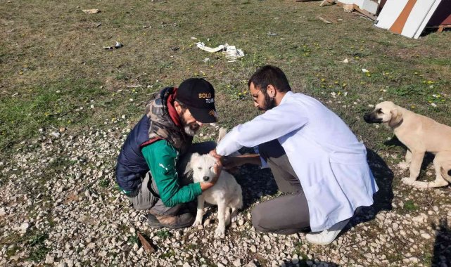 360 sokak hayvanının aşıları yapıldı - Bursa Haberleri