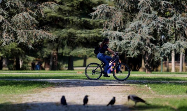 Botanik Park'ta sonbaharla birlikte renkli görüntüler - Bursa Haberleri