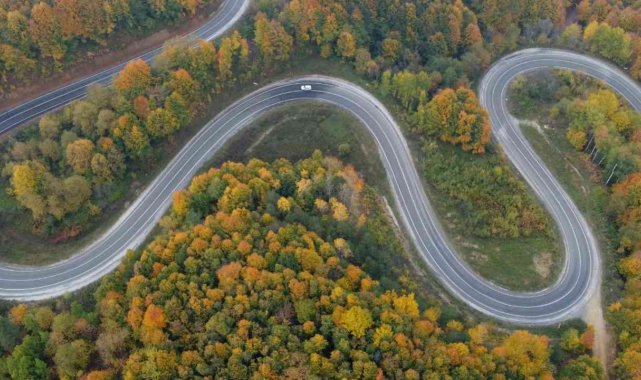 Bursa Ormanları'nda renk cümbüşü havadan görüntülendi