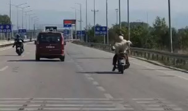 Bursa'da köpeğin motosiklet arkasındaki tehlikeli yolculuğu - Bursa Haberleri