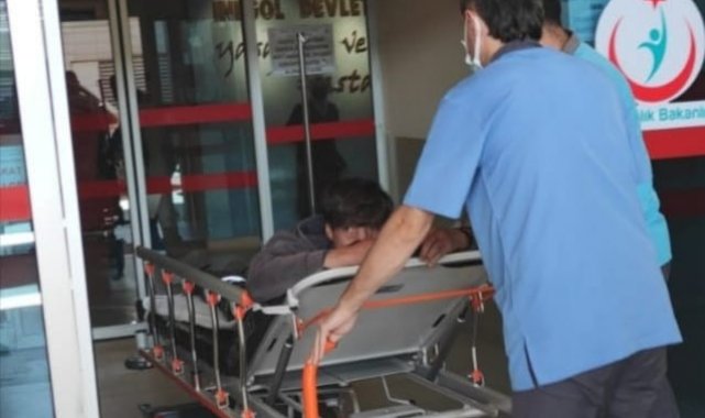 Ceviz ağacından çapa makinesinin üzerine düşen adam ağır yaralandı