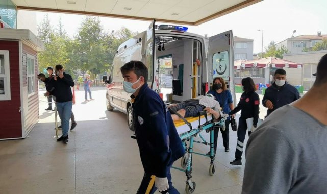 Ceviz ağacından düşen yaşlı adam ağır yaralandı