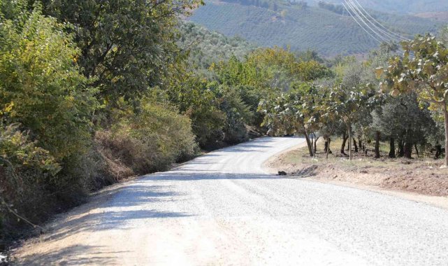 Gemlik'te mesire alanına ulaşmak artık daha kolay - Bursa Haberleri