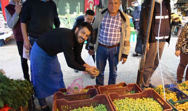 Günde yedi zeytin yiyip alzheimerdan korunun