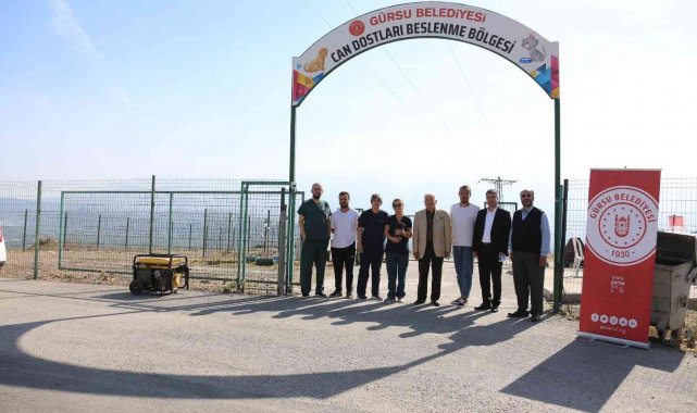 Hayvan dostu şehir; Gürsu - Bursa Haberleri