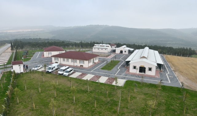 İnegöl'de bin 380 köpek kısırlaştırıldı, 3 bin 161 hayvan tedavi edildi