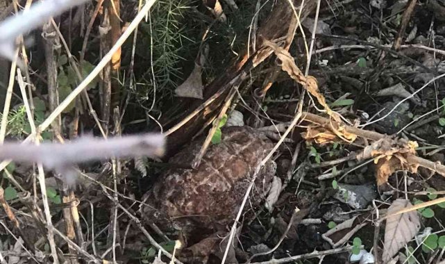 İznik'te göl kenarında el bombası bulundu - Bursa Haberleri