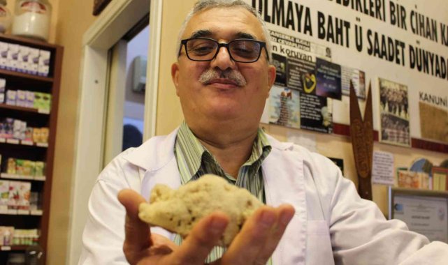 Kilosu 4 bin liraya canlı sünger - Bursa Haberleri