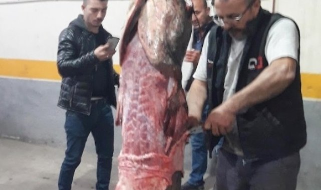 Kirmasti'den 'dev' çıktı - Bursa Haberleri
