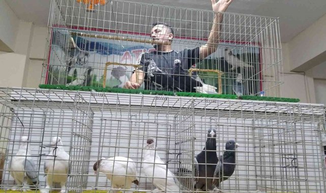 Uyumayıp güvercin mezadına akın ettiler - Bursa Haberleri