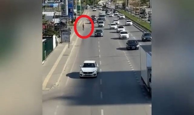 Vızır vızır geçen araçların arasında canını hiçe saydı
