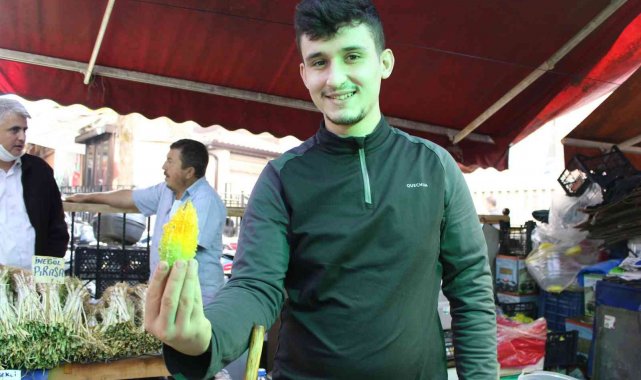Yaraları iyileştiren böyle 'kudret'li ilaç yok - Bursa Haberleri