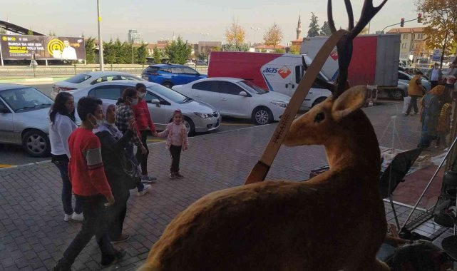 Bu dükkâna gelenleri geyikler ve çitalar karşılıyor