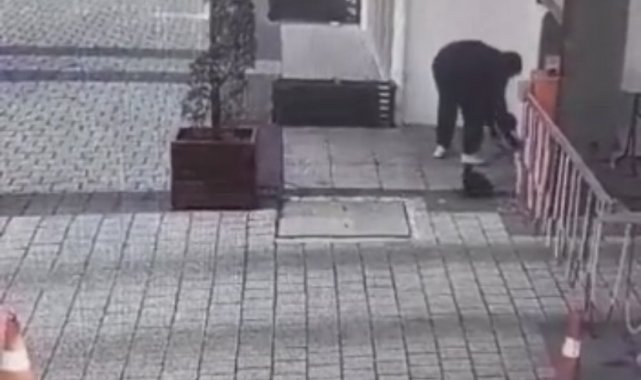 Bursa'da insanlık ölmüş dedirten görüntü: Kedi mamasının kutusunu çaldı