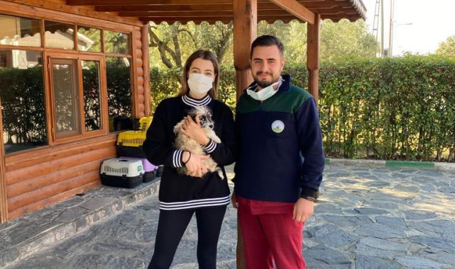 Can dost sıcak yuvaya kavuşturuldu
