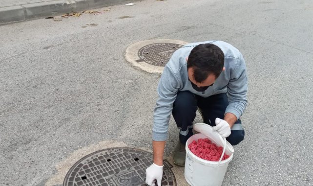 Haşerelere karşı mücadele