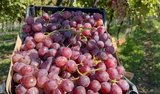 İznik'te "red globe" fırtınası