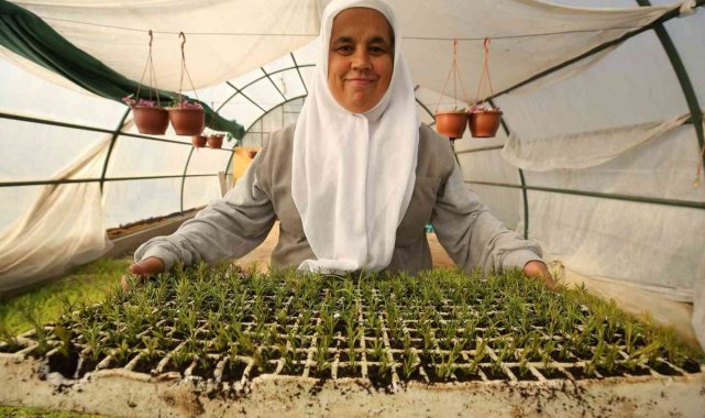 Nilüfer'in parklarına ekilecek bitkiler özenle yetiştiriliyor