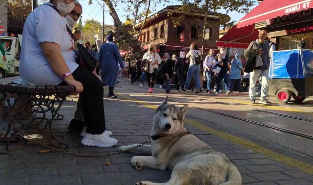 Pastırma sıcağında vatandaşlar çarşı ve parklara akın etti