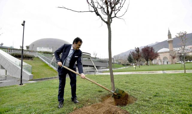 Yeşil Bursa'ya Osmangazi katkısı