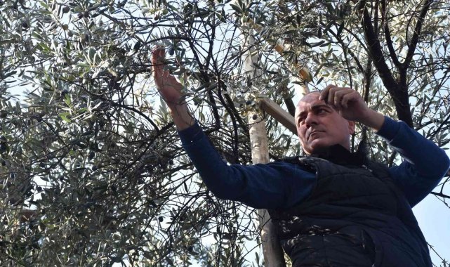 Sertaslan'dan Marmarabirlik'e fiyat güncellemesi çağrısı
