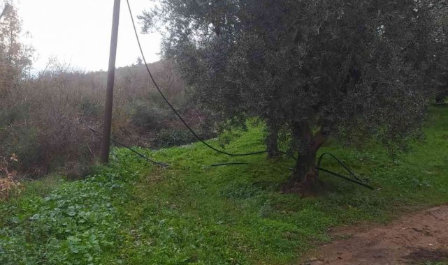 Telefon ve elektrik tellerini kesen hırsızlar jandarmaya yakalandı - Bursa Haberleri