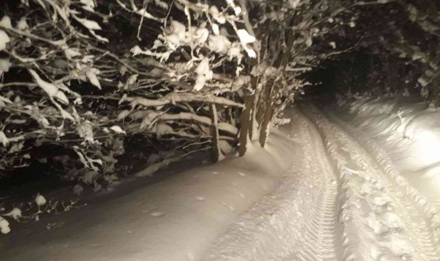 Bursa'da mangal yapmak için gittikleri ormanlık alanda kar nedeniyle mahsur kalan 5 kişi ekipler tarafından kurtarıldı