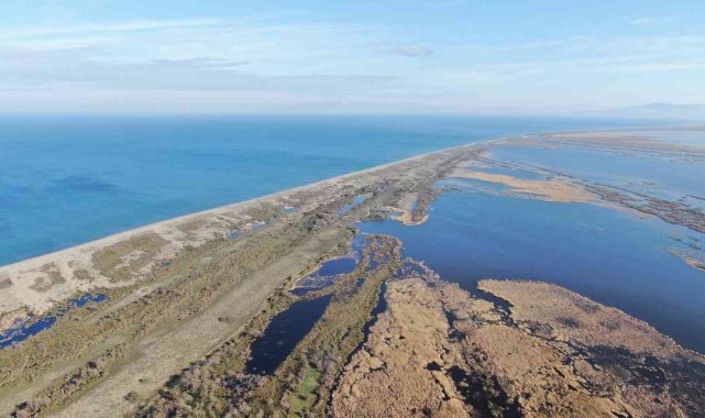 Karacabey longoz ormanları suyla buluşmaya başladı