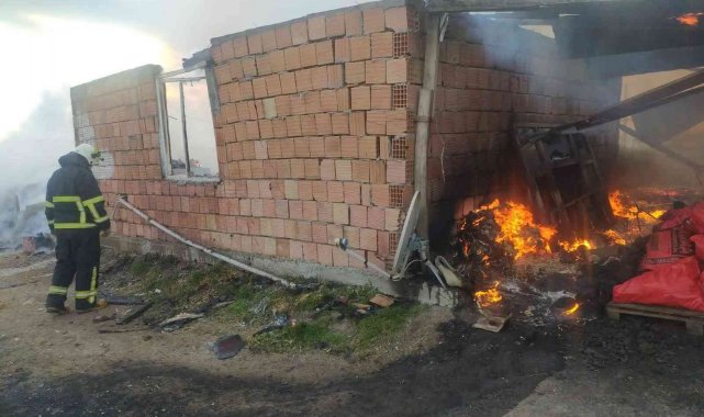 Kırklareli'nde ağıl yangını: 10 küçükbaş hayvan telef oldu