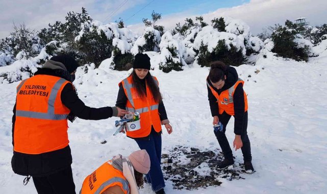 BTÜ öğrencileri sokak hayvanlarını unutmadı - Bursa Haberleri