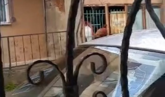 Bursa'da hırsızlar girdikleri yerden çıkamayınca demir korkulukları kırmaya çalıştı