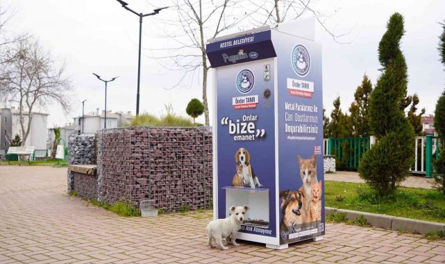 Kestel'de sokak hayvanları için 'Mamamatik' uygulaması