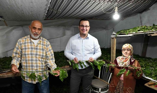 Bursa ipeği Mustafakemalpaşa'da kozalarından doğuyor