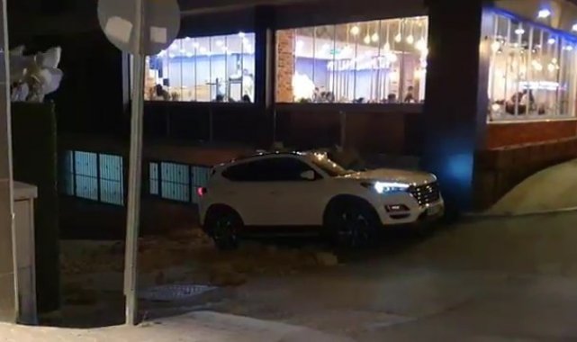 Bursa'da lodosun etkisiyle ağaçlar araçların üzerine devrildi