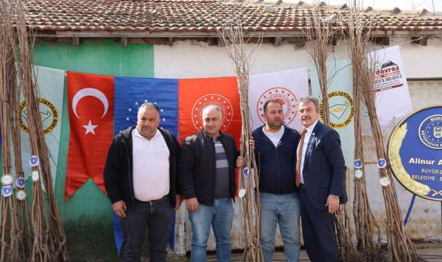 Mudanyalı çiftçiye Trabzon hurması desteği
