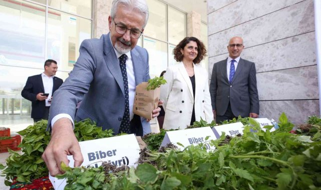 Bursa'da 400 bin fide toprakla buluşacak