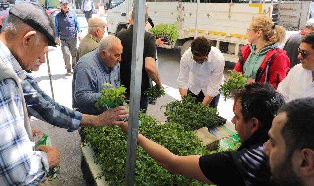 Gemlik'te ücretsiz fide dağıtımı başladı