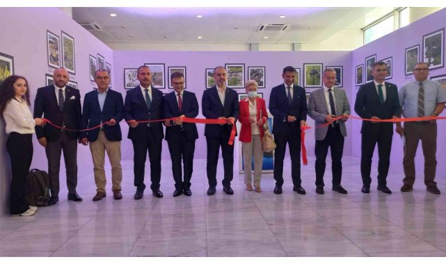 'Erikli korumamız gerekli sergisi' Bursalılarla buluştu