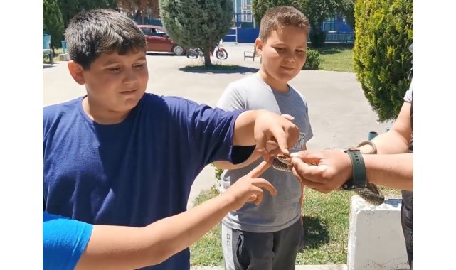 Parktaki yılanı elleriyle yakaladı çocuklara sevdirdi