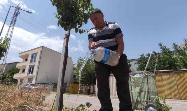 Sokak sokak gezip her yere meyve fidanı dikiyor