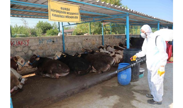 Bursa Büyükşehir bayrama hazır