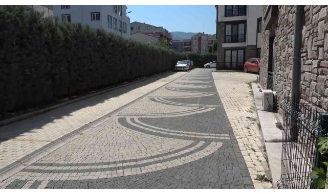 Ezdiği köpeğe aldırış etmeden aracını park edip gitti
