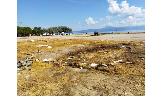 Mudanya'da karasineğin sebebi ihmal