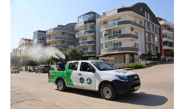 Mudanya'da sinekle mücadele
