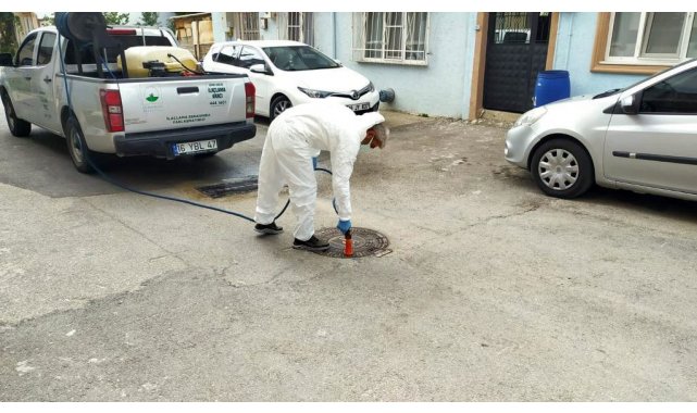 Osmangazi'de ilaçlama çalışmaları sürüyor