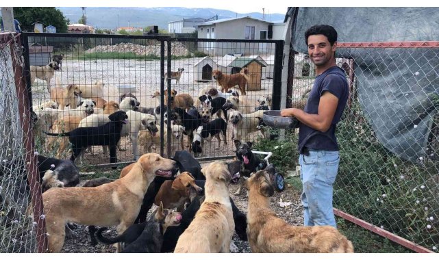 Sokak hayvanlarına hayat veren bağış