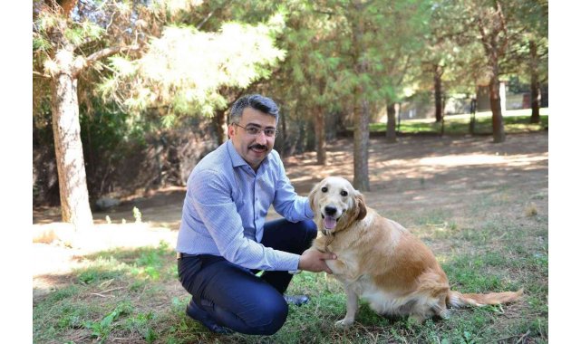 Yıldırım'da 27 bin sokak hayvanı tedavi edildi