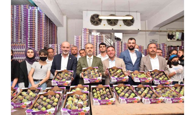 Bursa Büyükşehir, üreticiye can suyu oldu